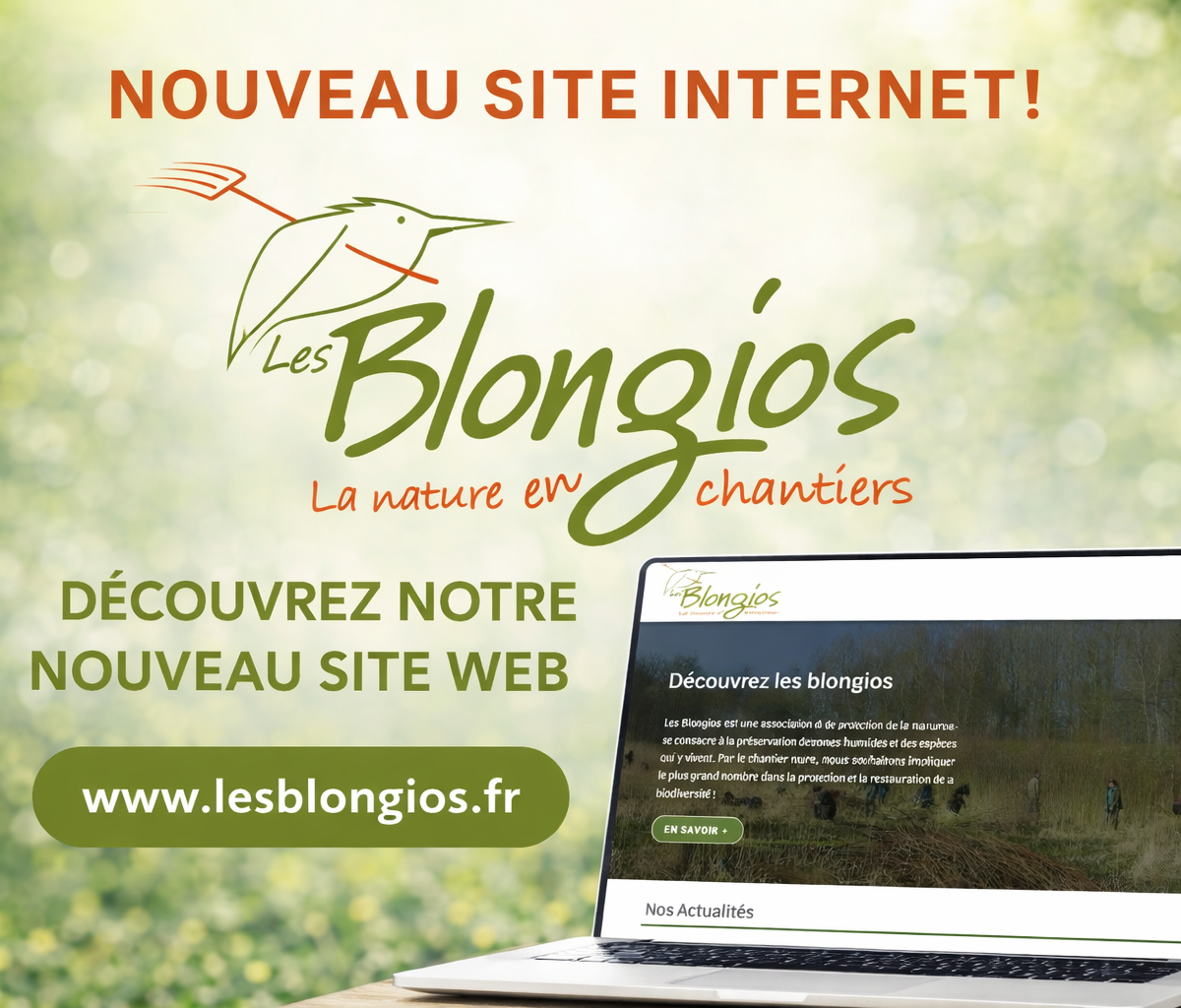 Nouveau site internet!